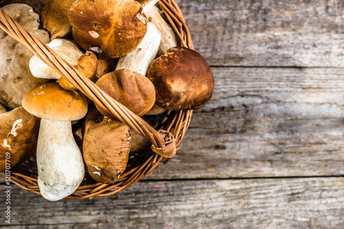 Fresh mushrooms in basket, boletus from forest harvested in autu