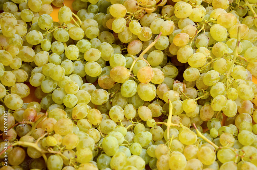fresh green grapes background