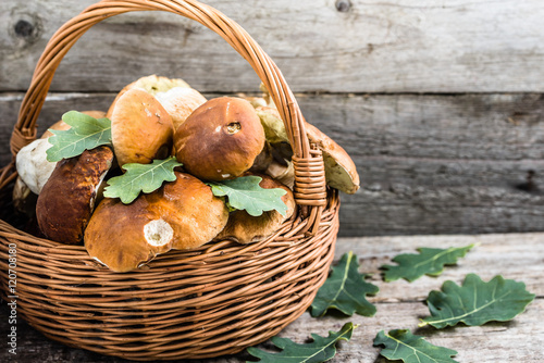 Fresh mushrooms in basket, boletus from forest on rustic table