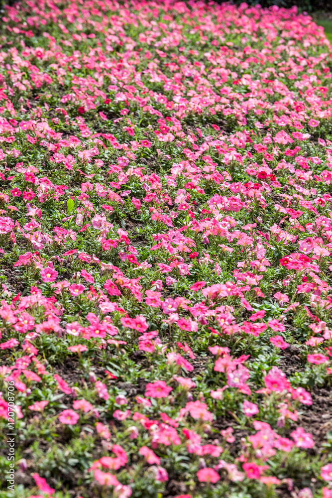 Park in shanghai