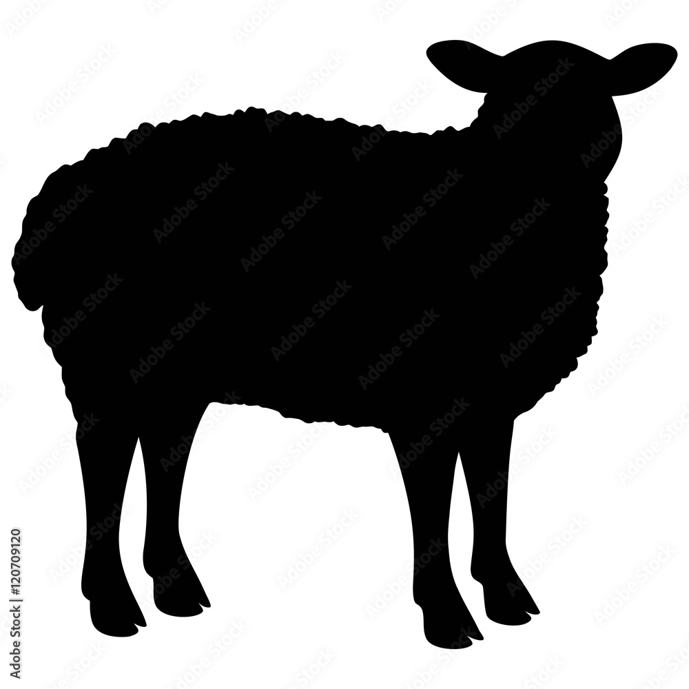 Obraz premium Ikona owiec