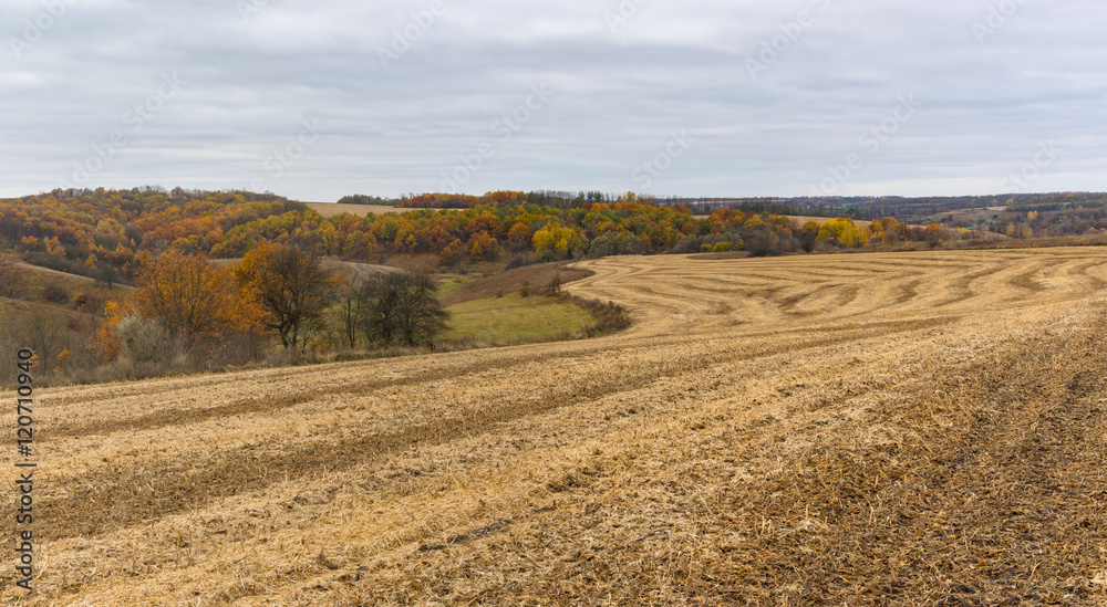 Fall landscape with harvested cereals field in Ukraine
