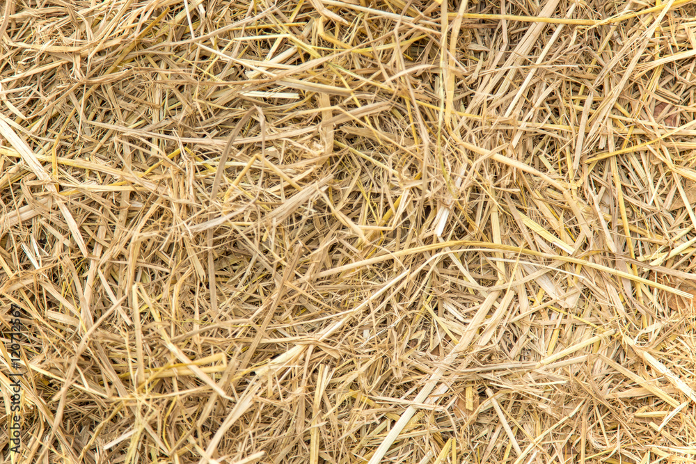 straw background