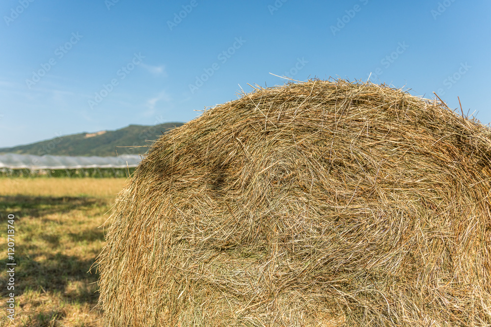 Hay bale in front of greenhouse Hay bale in front of greenhouse