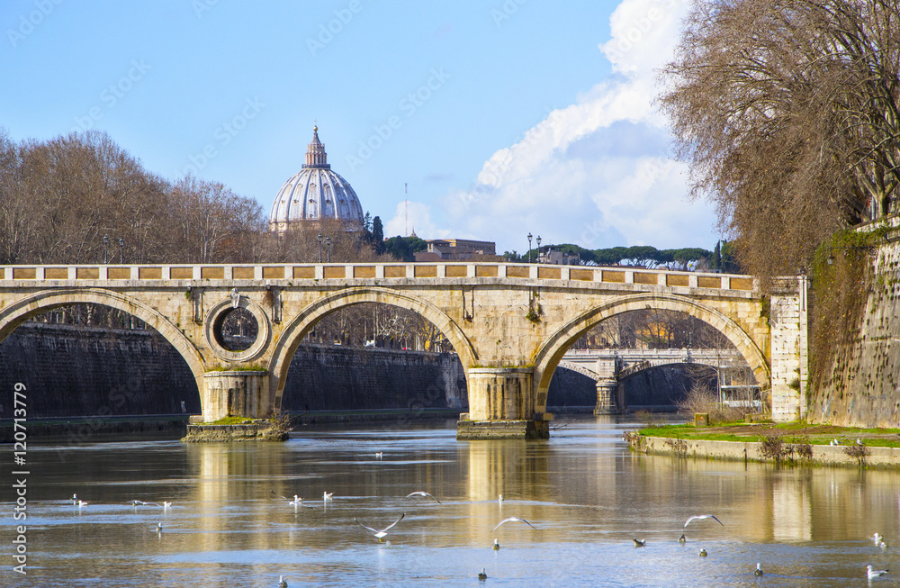 magnifica vista di Roma e del fiume tevere