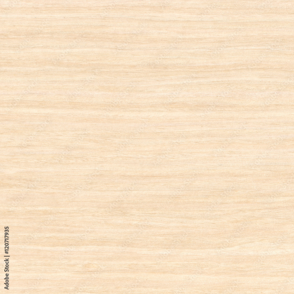 natural white quercus wood texture natural white quercus wood texture