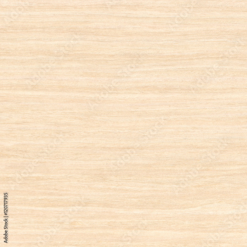 natural white quercus wood texture