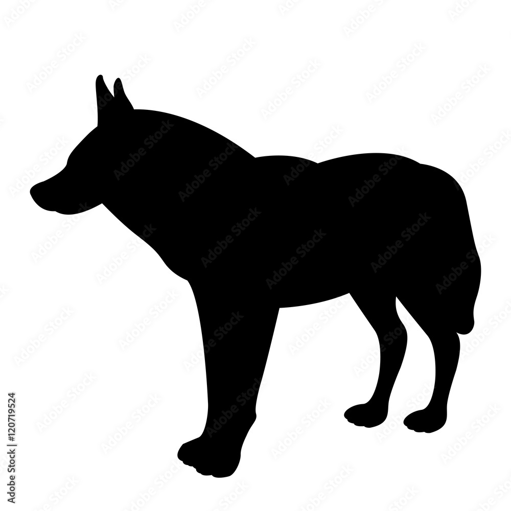 adult wolf vector illustration black silhouette