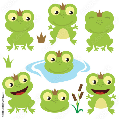 Cute frog vector cartoon illustration