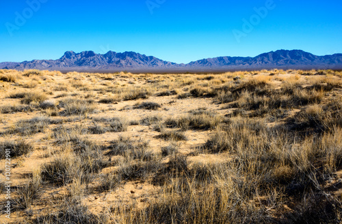 Fototapeta Naklejka Na Ścianę i Meble -  Mojave National Preserve