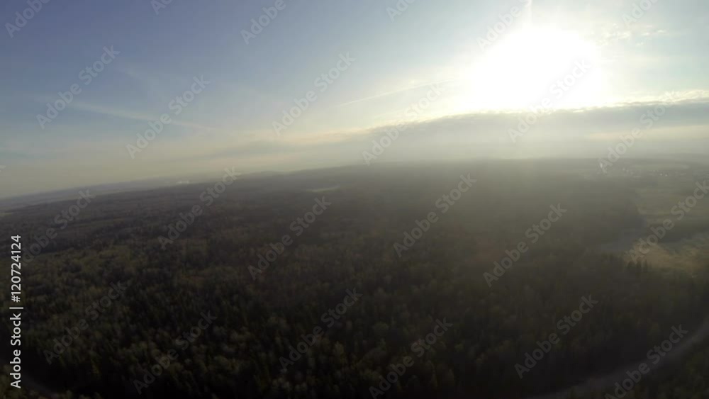 Breathtaking view on forest in sunny weather Breathtaking view on forest in sunny weather