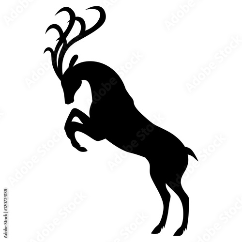 Silhouette reared deer