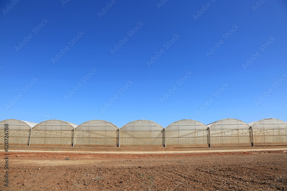invernadero agricultura almería U84A1204f16 StockFoto Adobe Stock