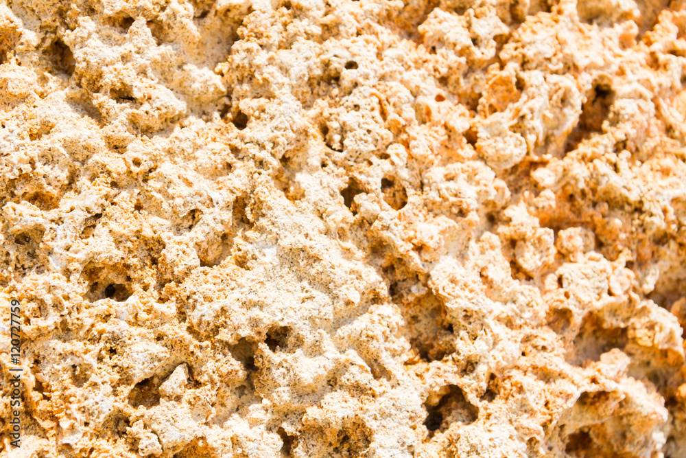 Natural material for the construction of coquina Natural material for the construction of coquina