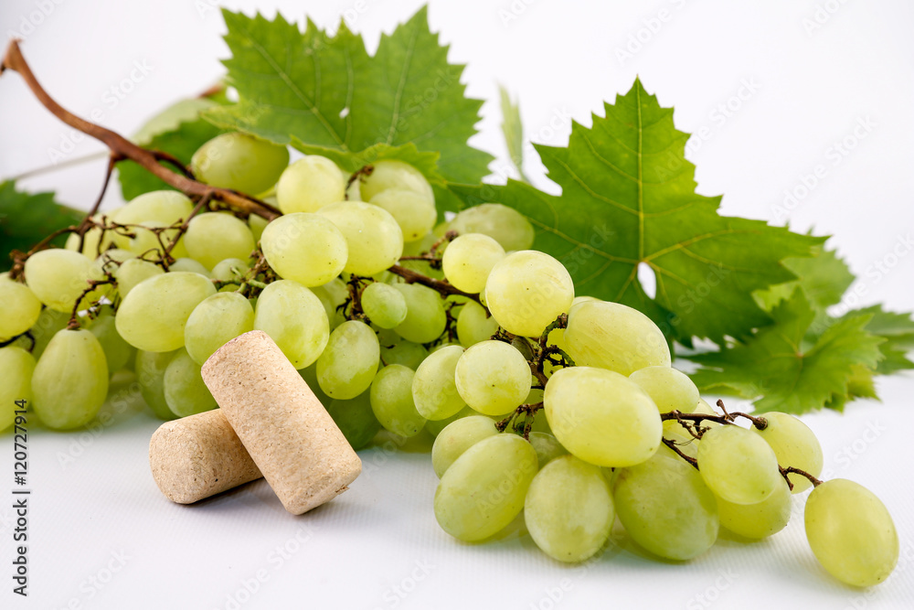 trauben Stock-Foto | Adobe Stock trauben Stock-Foto | Adobe Stock