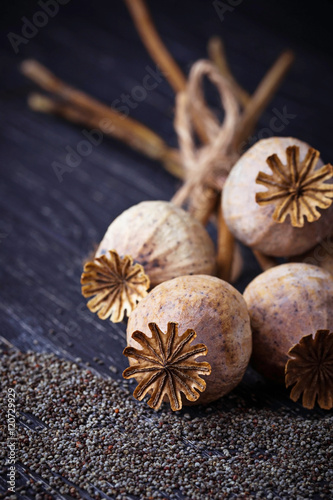 Poppy seeds and heads on wooden background