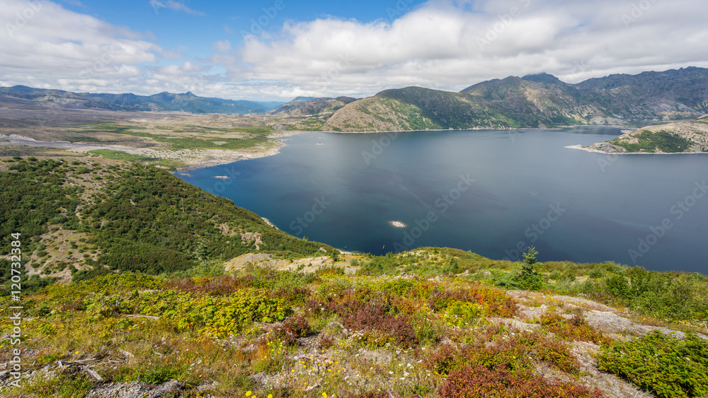 Obraz premium Beautiful lake in the mountains. Wildflowers growing on the shore of the lake. Mount St Helens National Park, East Part, South Cascades in Washington State, USA