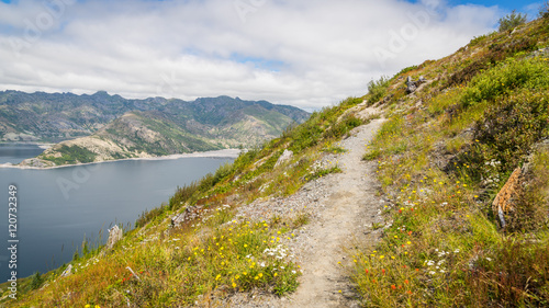 Beautiful lake in the mountains. The path along the lake shore. Wildflowers growing on the shore of the lake. Mount St Helens National Park, East Part, South Cascades in Washington State, USA