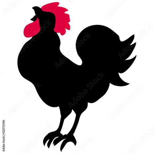 Silhouette of a rooster. Symbol of New Year 2017  photo