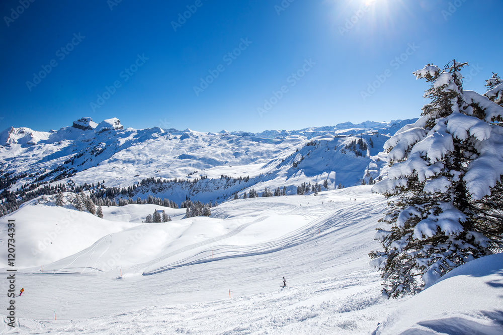 Swiss Alps covered by fresh new snow seen from Hoch-Ybrig ski resort, Central Switzerland