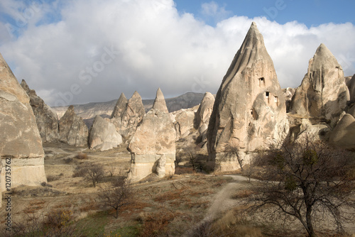 Fairy chimneys, Goreme valley, Turkey