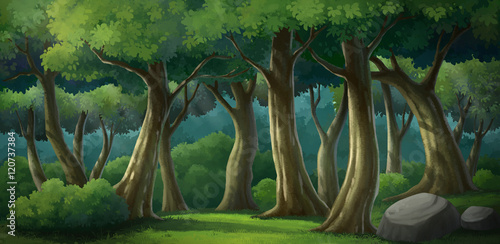 Fototapeta Naklejka Na Ścianę i Meble -  background for jungle and natural