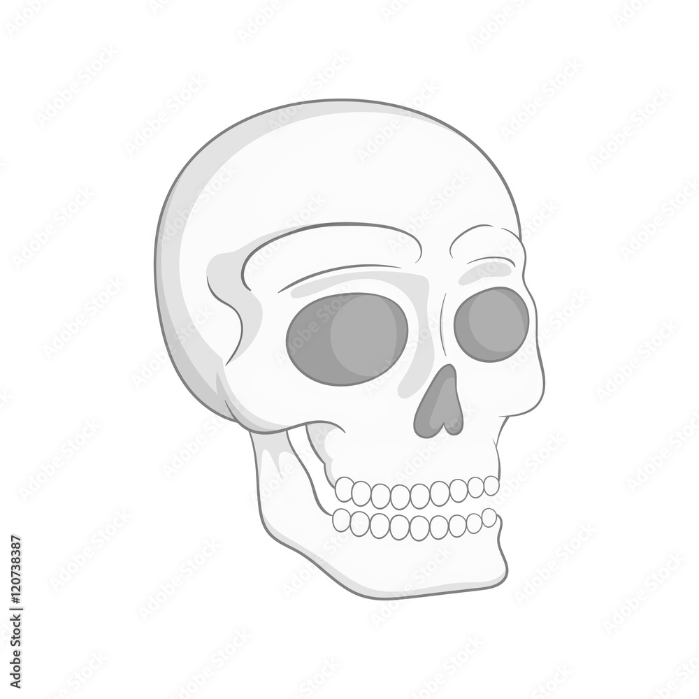 Human skull icon in black monochrome style isolated on white background. Death symbol vector illustration Human skull icon in black monochrome style isolated on white background. Death symbol vector illustration