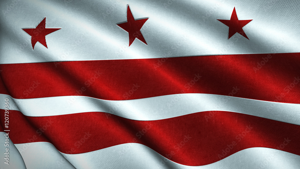 Washington DC Flag Flying in the Wind 3D Illustration