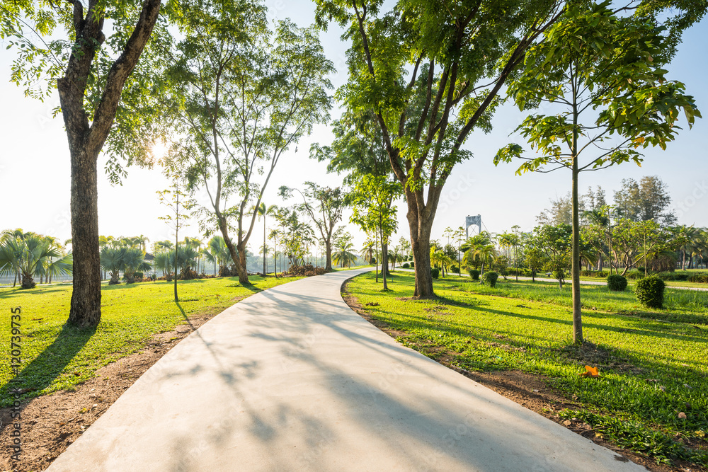 Naklejka premium Landscape with jogging track at green park in morning