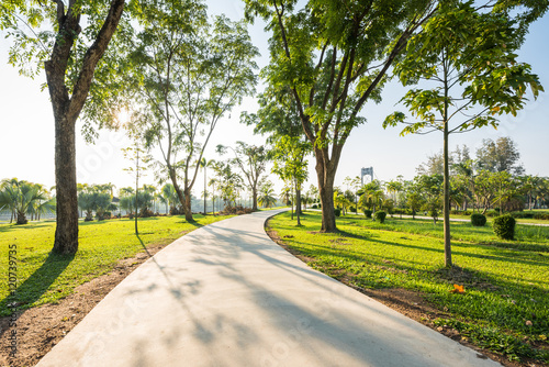 Fototapeta Naklejka Na Ścianę i Meble -  Landscape with jogging track at green park in morning