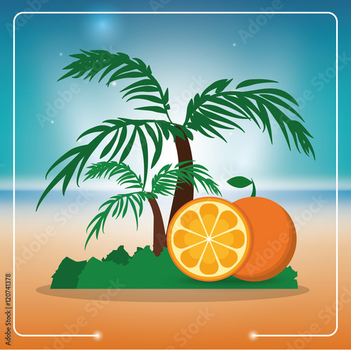 Orange and palm tree icon. Fruits summer healthy and organic food theme. Colorful design. Vector illustration
