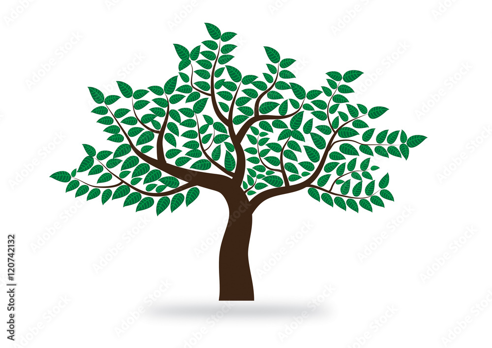 Obraz premium Abstract vector tree