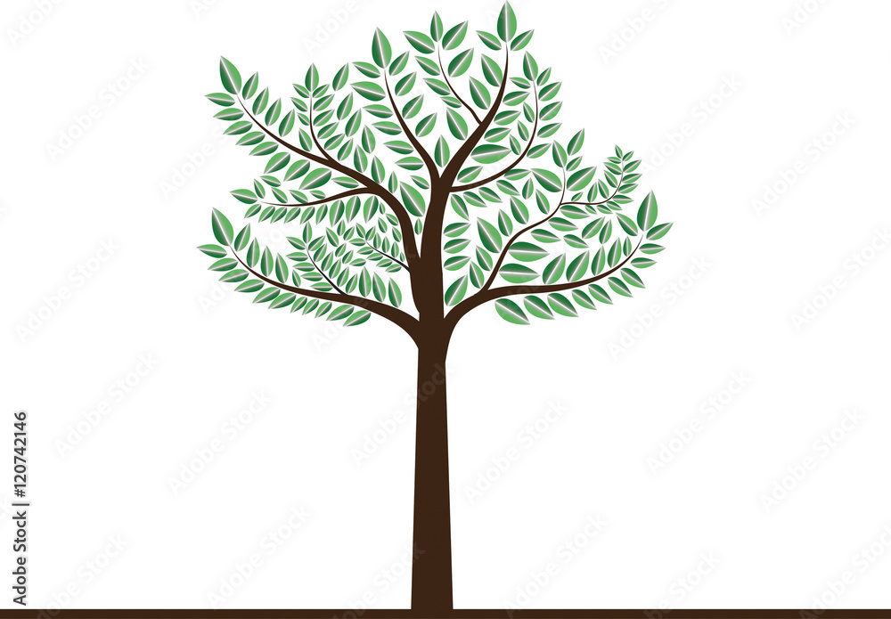 Obraz premium abstract tree on Background White . Vector