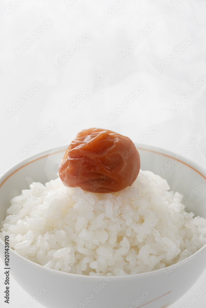 ご飯と梅干 ご飯と梅干