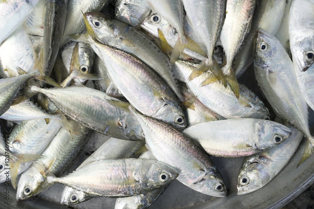 Fresh raw fishes for sale in a local market in Thailand