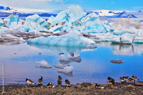 The drifting ice floes