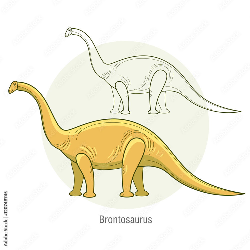 Fototapeta premium Vector image of a dinosaur - Brontosaurus.