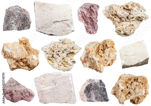 collection from specimens of limestone rock