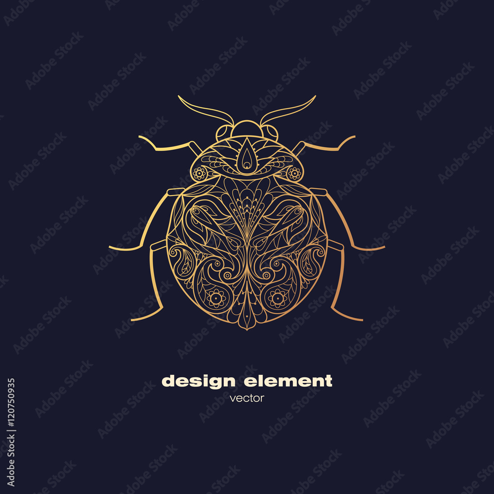 Fototapeta premium Vector decorative image insect beetle.