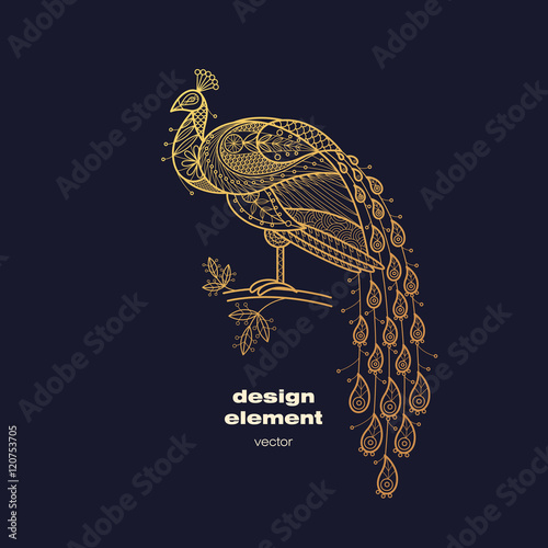 Vector decorative image of a peacock bird.
