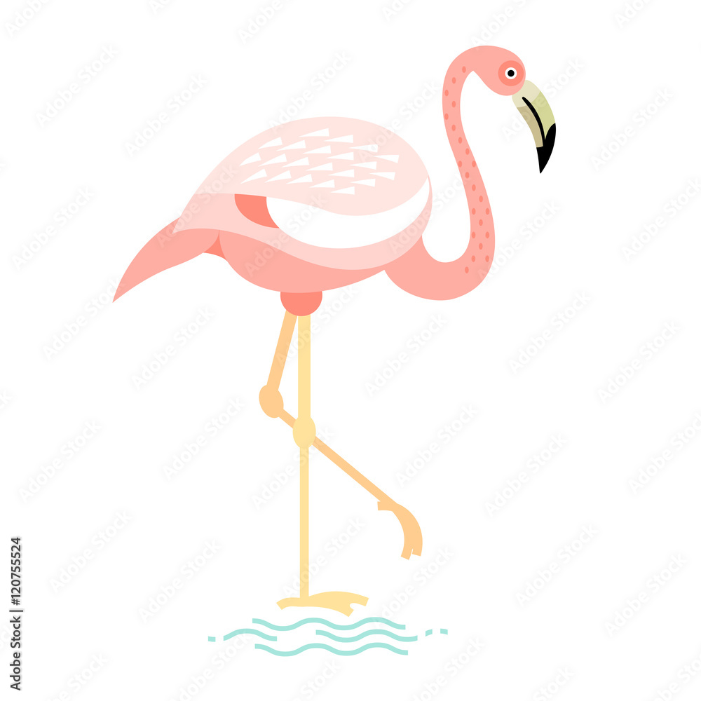 Obraz premium Vector illustration of bird flamingo.