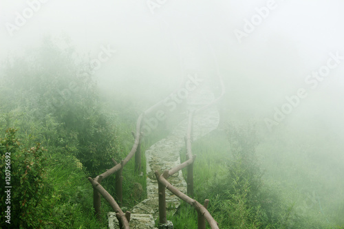 Tableau sur toile The mystic