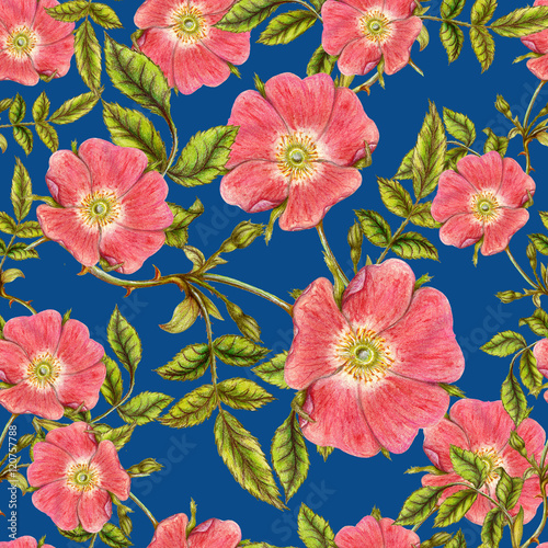 Wallpaper Mural Seamless pattern of briar flowers Torontodigital.ca