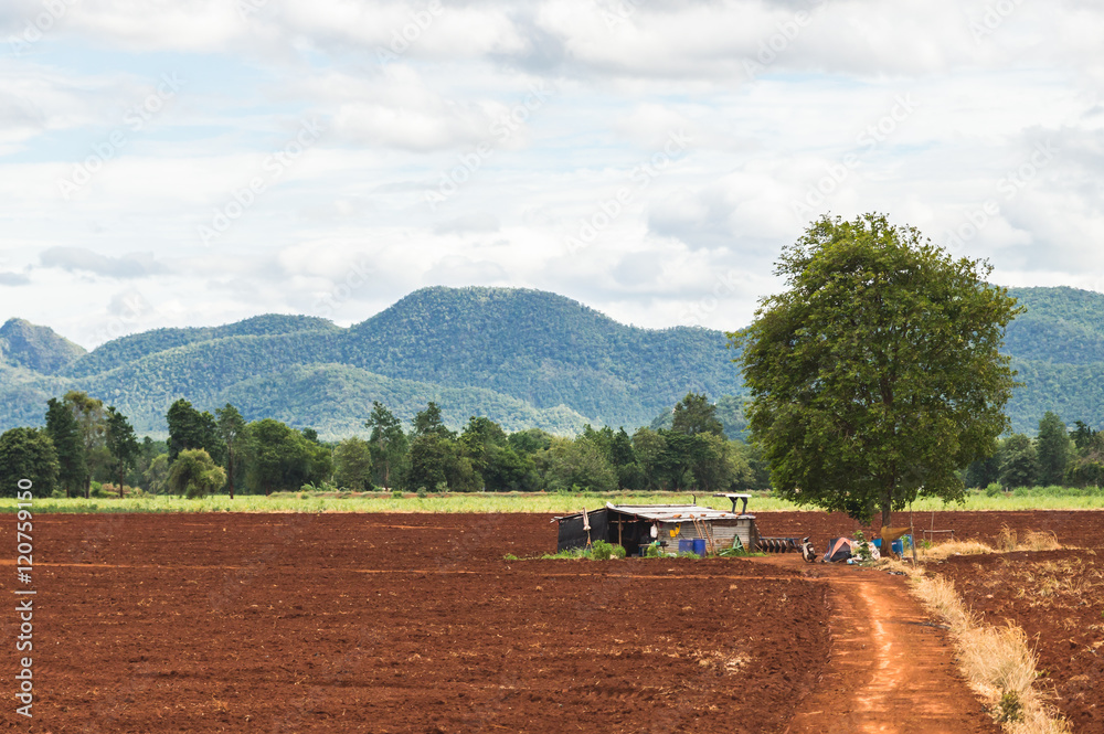 Fototapeta premium Rural Farmhouse