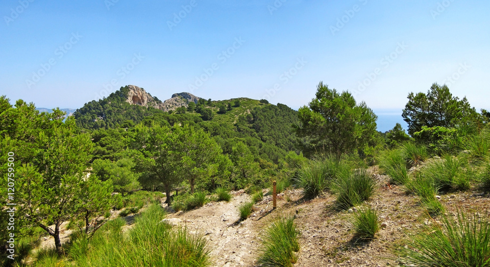 Hiking path in the mountains, panorama