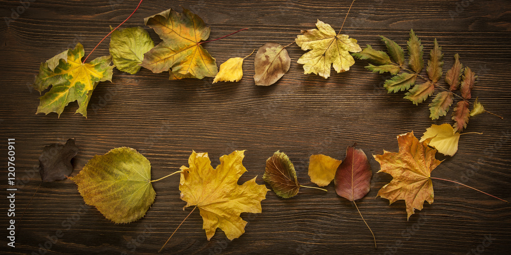 autumn leaf on wood background (top view)