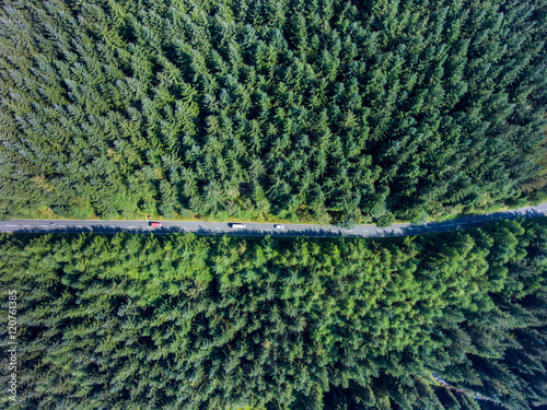 Road going through forest landscape, view from the above