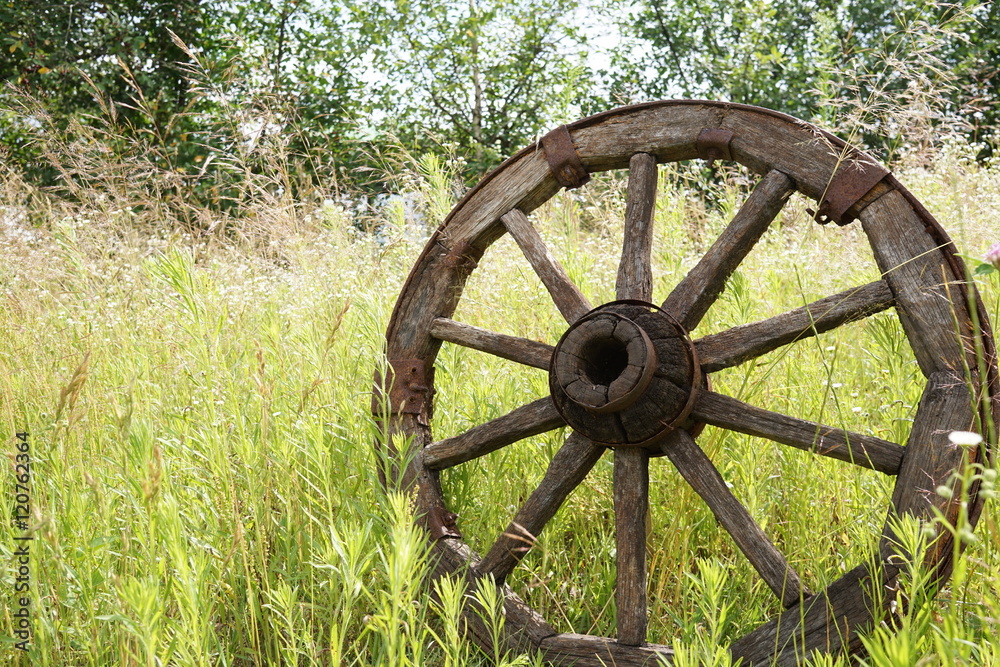 wooden wheel on a background of green grass wooden wheel on a background of green grass