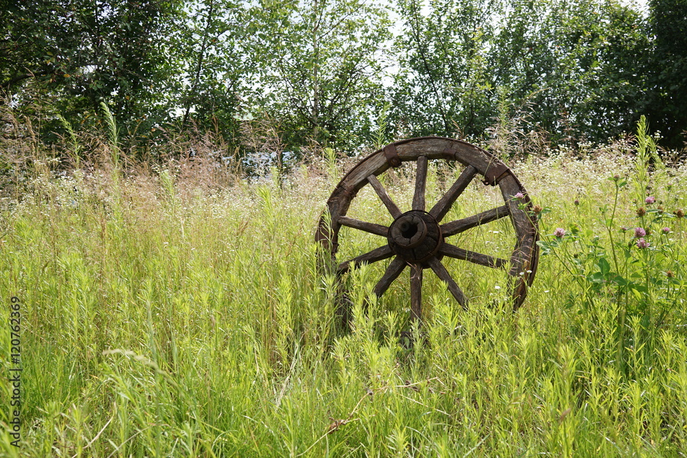 wooden wheel on a background of green grass wooden wheel on a background of green grass