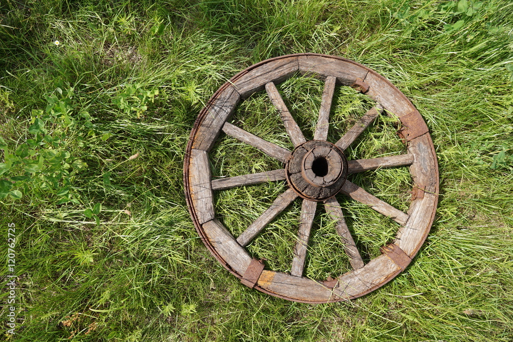 wooden wheel on a background of green grass wooden wheel on a background of green grass
